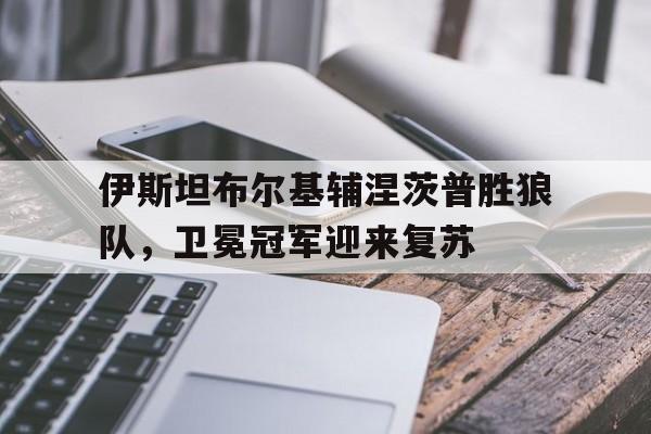 开云体育官网-伊斯坦布尔基辅涅茨普胜狼队，卫冕冠军迎来复苏