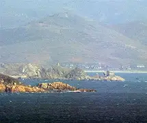 关于青岛黄海寻求反弹，再现中超强大战斗力的信息