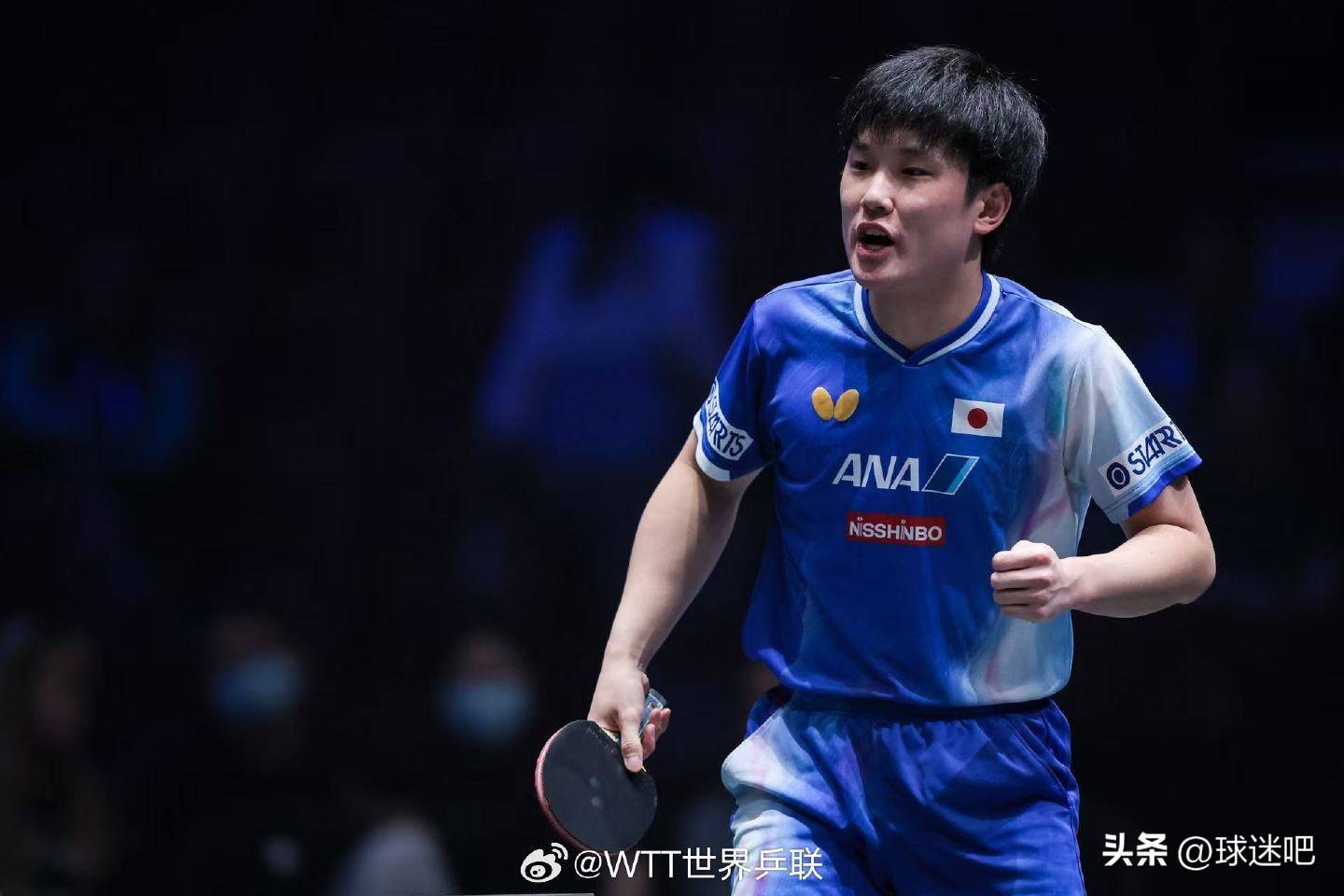 开云体育入口-关于葡萄牙队鏖战法国队，张本智和点燃赛场的信息