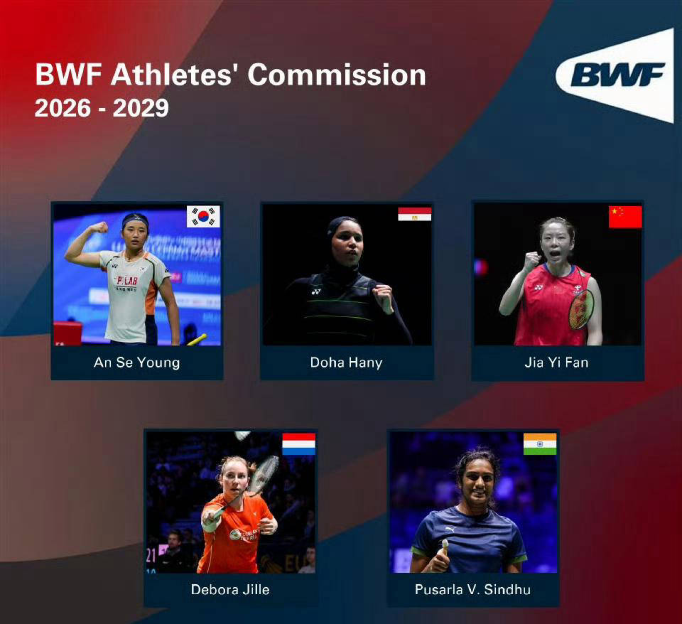 中国羽毛球队完胜法国羽毛球队，辛杜惊艳世界的简单介绍