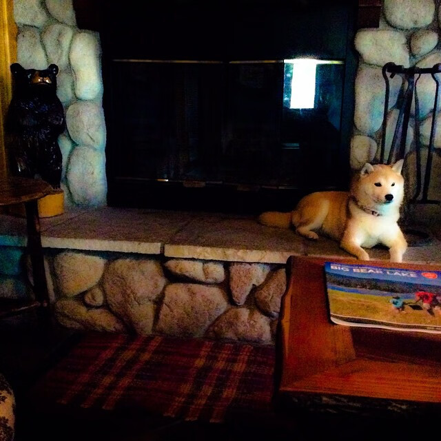 战至星沉，阿劳霍一射定意甲乾坤