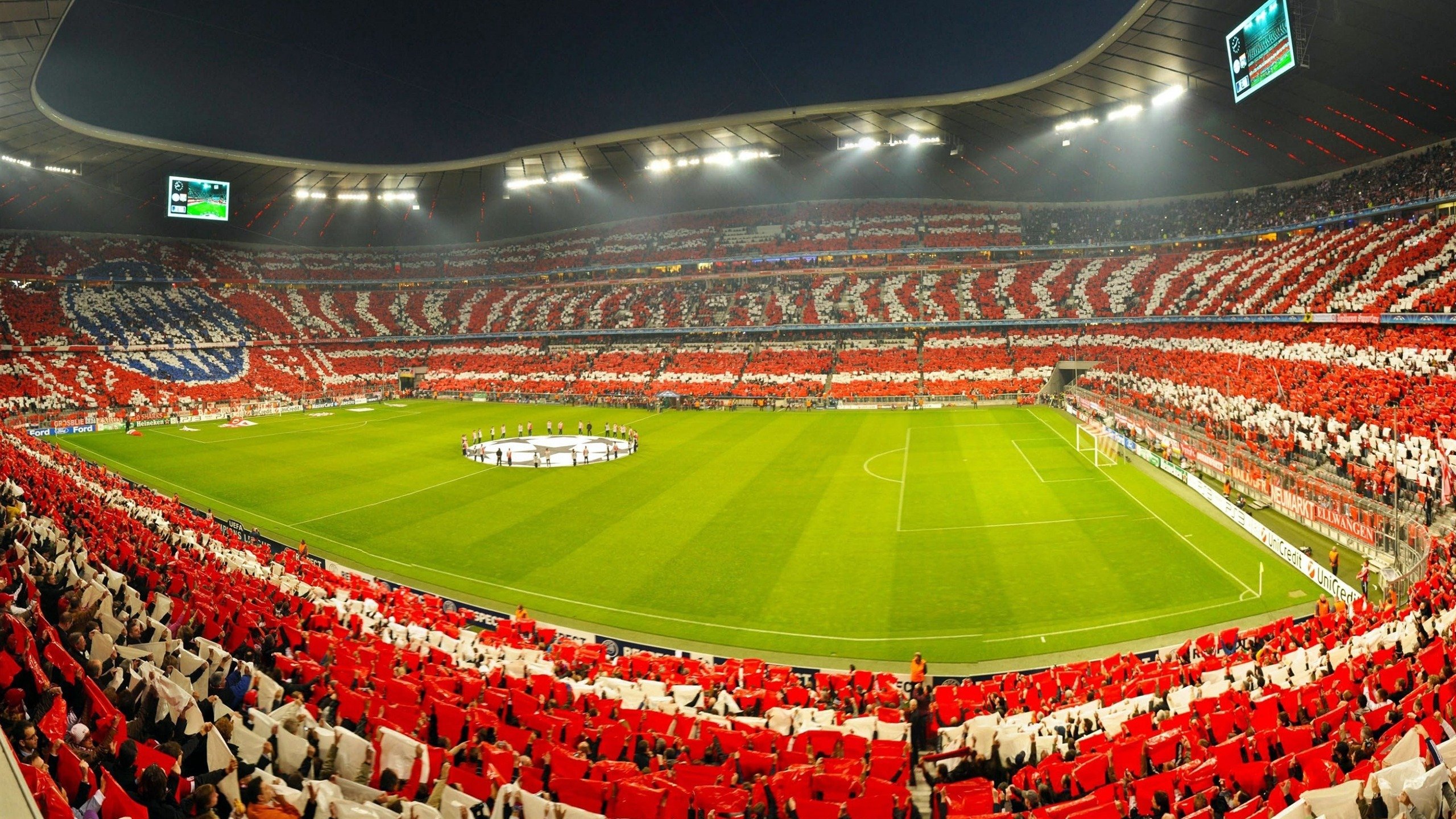 开云平台-逆转之火，从葡萄牙绿茵到张本智和球台，激情如何跨越运动点燃世界